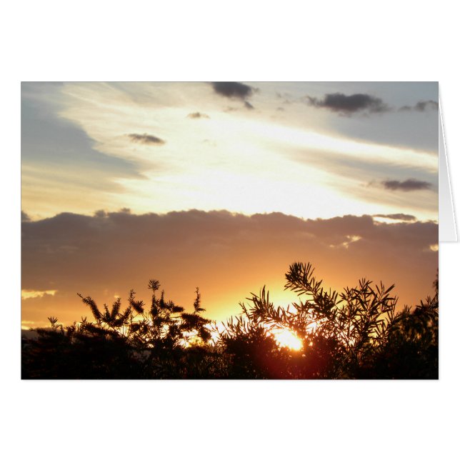 Canberra Sunset (Voorkant Horizontaal)