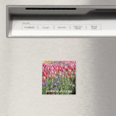 Canberra tulpen magneet (Insitu (Vaatwasser))