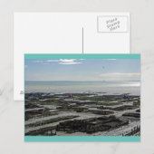 Cancale Oyster Park Frankrijk Briefkaart (Voorkant / Achterkant)