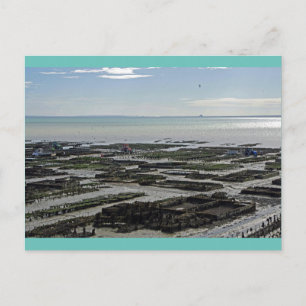 Cancale Oyster Park Frankrijk Briefkaart