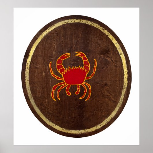 Cancer 2009 poster (Voorkant)