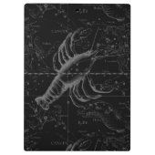 Cancer Constellation Engraving Hevelius Klembord (Achterkant)