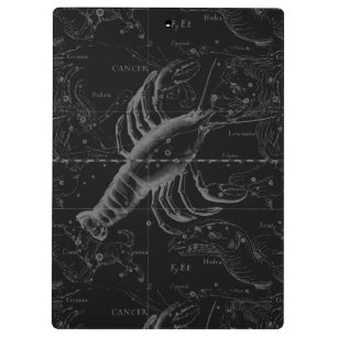 Cancer Constellation  Engraving Hevelius Klembord