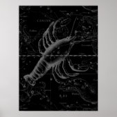 Cancer Constellation  Engraving Hevelius Poster (Voorkant)