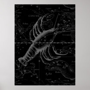 Cancer Constellation  Engraving Hevelius Poster