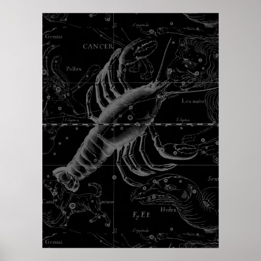 Cancer Constellation  Engraving Hevelius Poster (Voorkant)