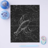 Cancer Constellation Hevelius 1690 Decor Flyer (Enkel)