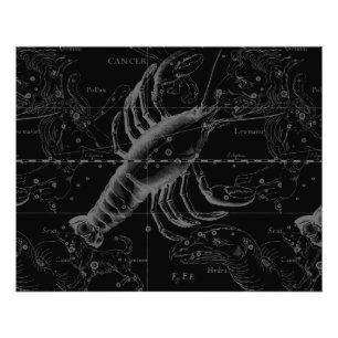 Cancer Constellation Hevelius 1690 Decor Foto Afdruk