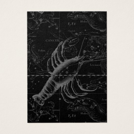 Cancer Constellation Hevelius 1690 Decor Visitekaartjes (Voorkant)
