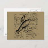 Cancer Constellation Hevelius 1690 Engaving Briefkaart (Voorkant / Achterkant)