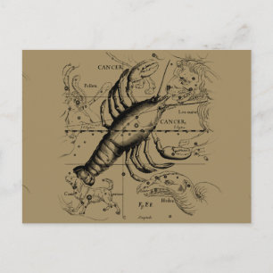 Cancer Constellation Hevelius 1690 Engaving Briefkaart
