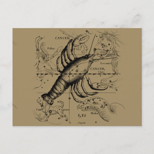 Cancer Constellation Hevelius 1690 Engaving Briefkaart (Voorkant)