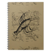 Cancer Constellation Hevelius 1690 Engaving Notitieboek (Voorkant)