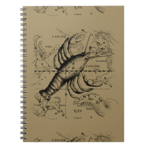 Cancer Constellation Hevelius 1690 Engaving Notitieboek