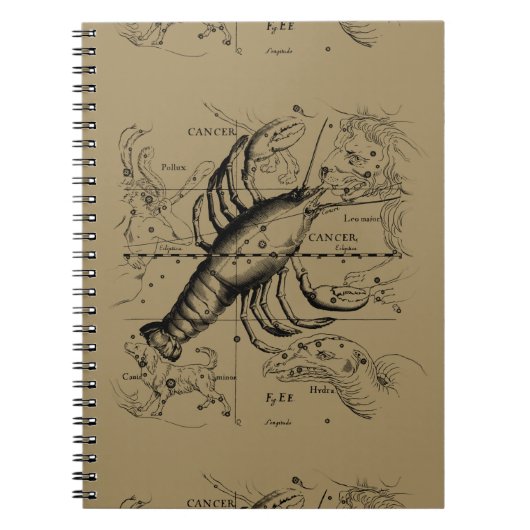 Cancer Constellation Hevelius 1690 Engaving Notitieboek (Voorkant)