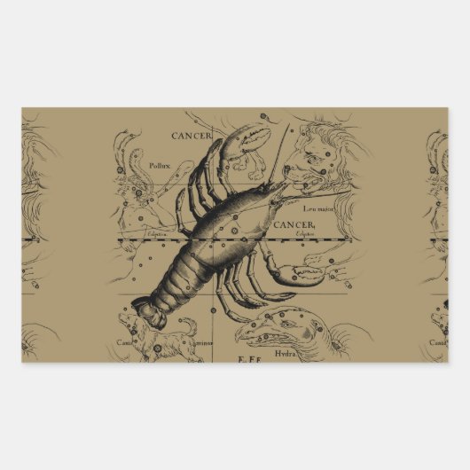 Cancer Constellation Hevelius 1690 Engaving Rechthoekige Sticker (Voorkant)