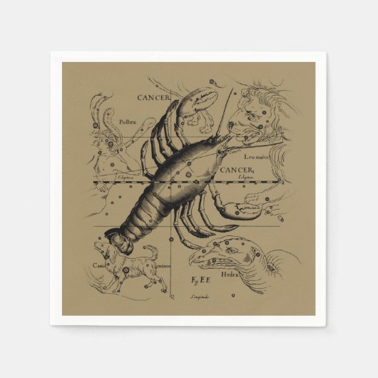 Cancer Constellation Hevelius 1690 Engaving Servet (Voorkant)