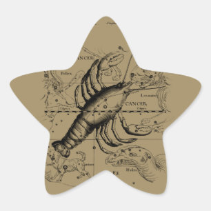 Cancer Constellation Hevelius 1690 Engaving Ster Sticker