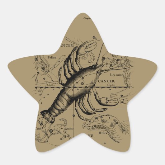Cancer Constellation Hevelius 1690 Engaving Ster Sticker (Voorkant)