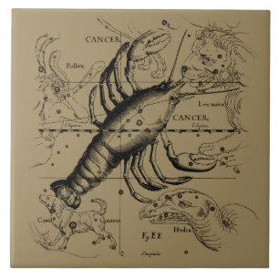 Cancer Constellation Hevelius 1690 Engaving Tegeltje