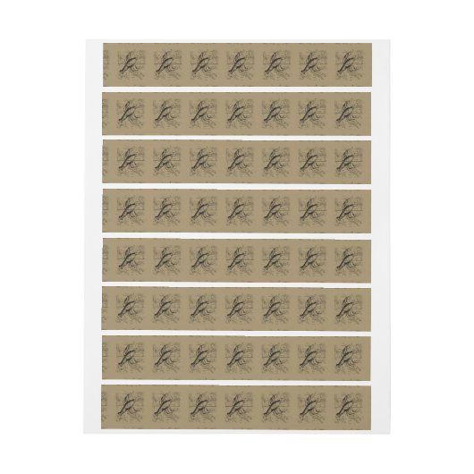 Cancer Constellation Hevelius 1690 June 21-Juli 22 (Vel)