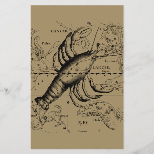 Cancer Constellation Hevelius 1690 June 21-Juli 22 Flyer (Voorkant)