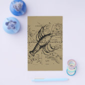 Cancer Constellation Hevelius 1690 June 21-Juli 22 Flyer (Enkel)