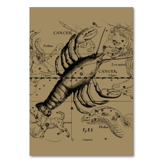 Cancer Constellation Hevelius 1690 June 21-Juli 22 Kaart (Voorkant)