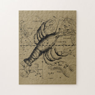 Cancer Constellation Hevelius 1690 June 21-Juli 22 Legpuzzel