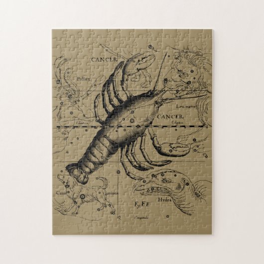 Cancer Constellation Hevelius 1690 June 21-Juli 22 Legpuzzel (Verticaal)
