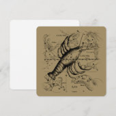 Cancer Constellation Hevelius 1690 June 21-July 22 (Voorkant / Achterkant)