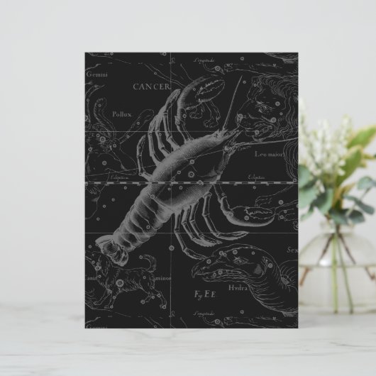 Cancer Constellation Hevelius 1690 op Black (Staand voorkant)