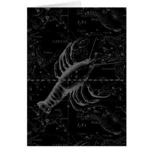 Cancer Constellation Hevelius 1690 op Black