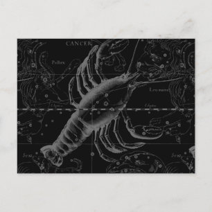 Cancer Constellation Hevelius 1690 op Black Briefkaart