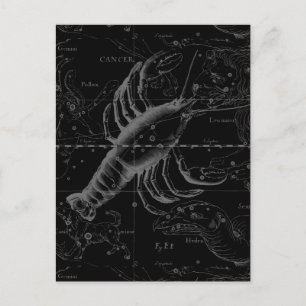 Cancer Constellation Hevelius 1690 op Black Briefkaart