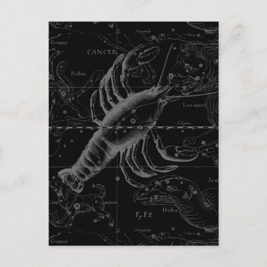 Cancer Constellation Hevelius 1690 op Black Briefkaart (Voorkant)