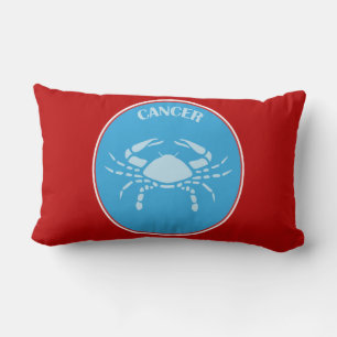 Cancer Lumbar Pillow Kussen