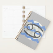 Cancer Planner (Display)