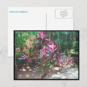 CANCUN #17 BRIEFKAART (Voorkant / Achterkant)