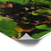 CANCUN #6 POSTER (Hoek)