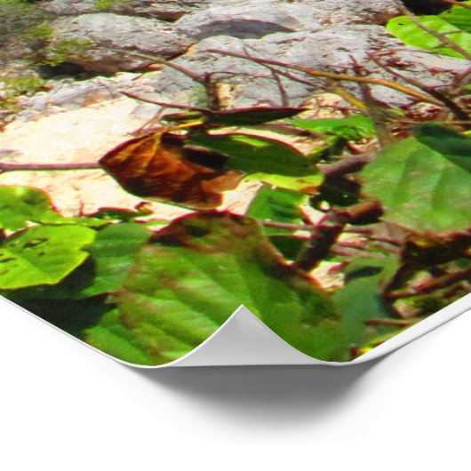 CANCUN #8 POSTER (Hoek)