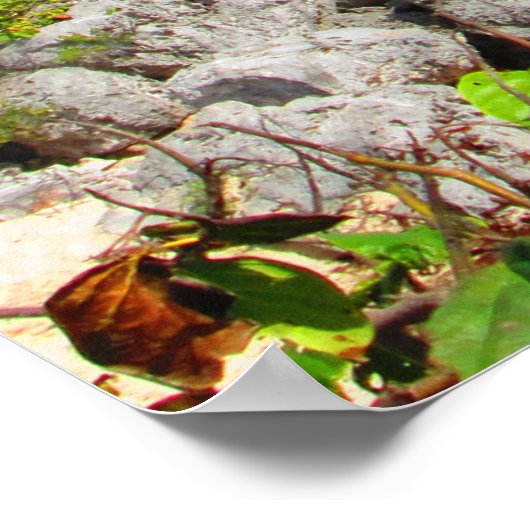 CANCUN #8 POSTER (Hoek)