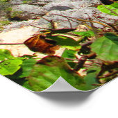 CANCUN #8 POSTER (Hoek)