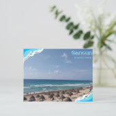 Cancun-Dolphin´s Beach Briefkaart (Staand voorkant)