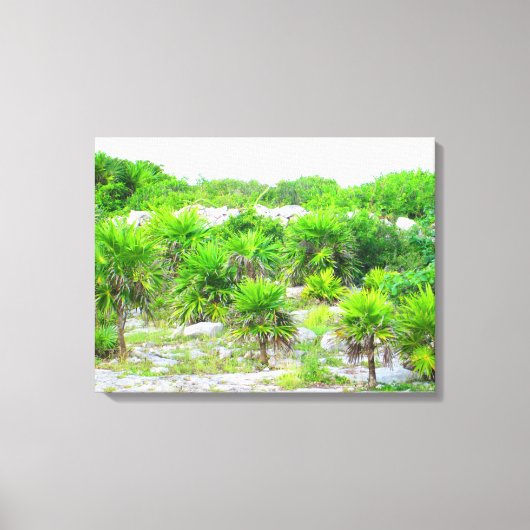 CANCUN, MEXICO #14 CANVAS PRINT (Voorkant)