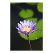 Cancun, Mexico Foto Afdruk (Voorkant)