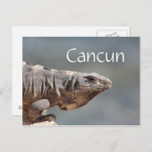 Cancun Mexico Iguana Briefkaart (Voorkant / Achterkant)