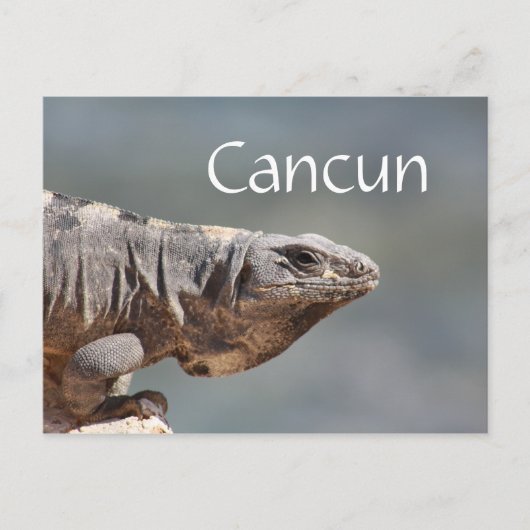 Cancun Mexico Iguana Briefkaart (Voorkant)