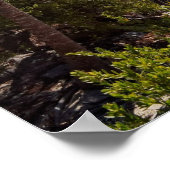 Cancun Mexico Poster (Hoek)