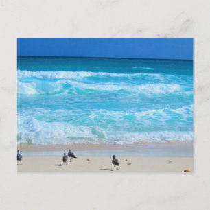 CANCUN OCEAN #2 BRIEFKAART